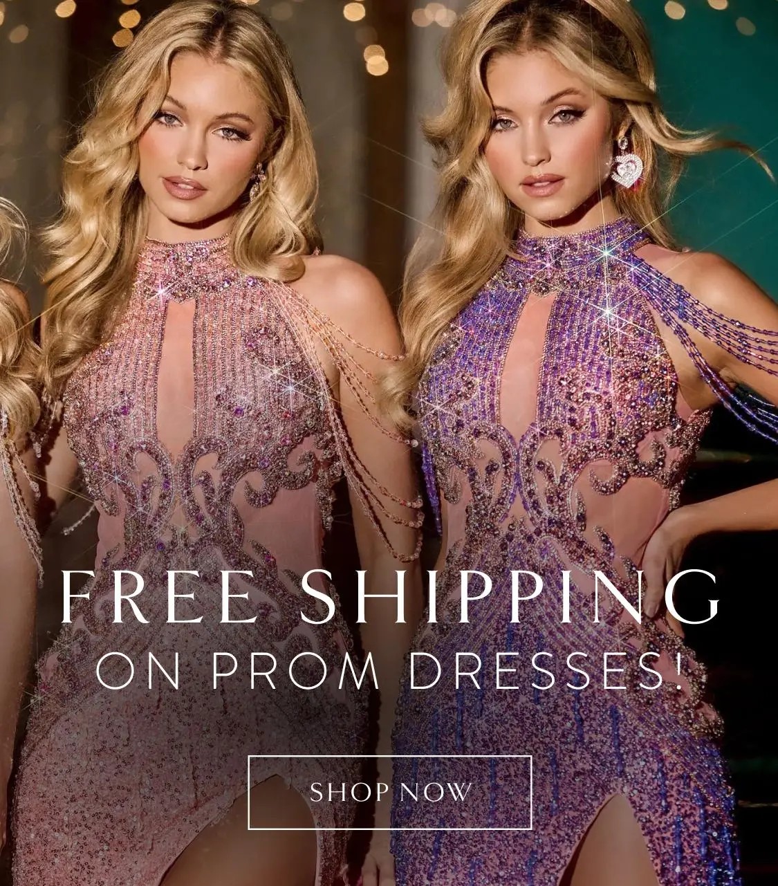 Free Shipping prom dresses banner